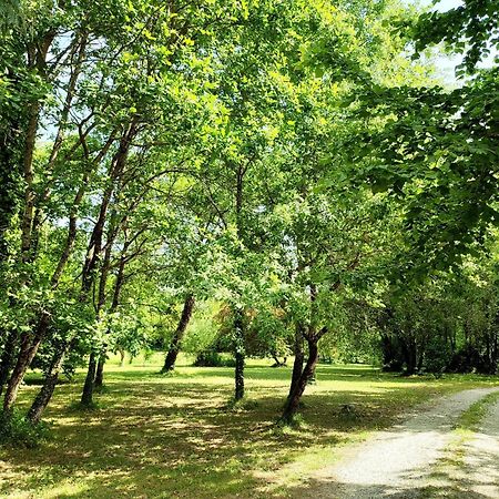 Chambre D'Hotes Le Moulin De Moulis Екстер'єр фото