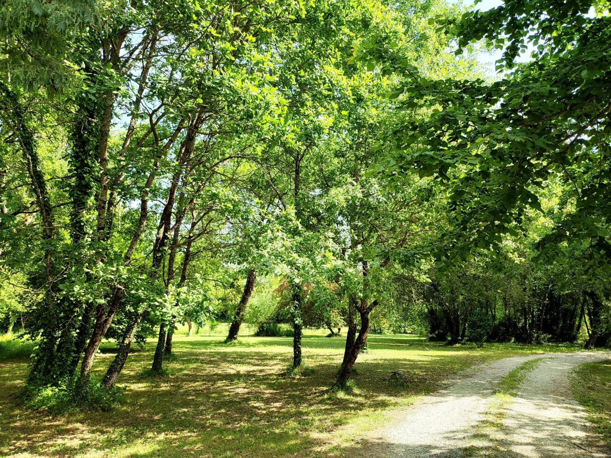 Chambre D'Hotes Le Moulin De Moulis Екстер'єр фото